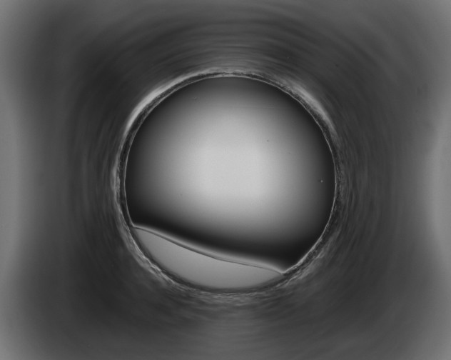 X0000085050944200703051042