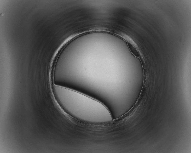 X0000085050947200703051042