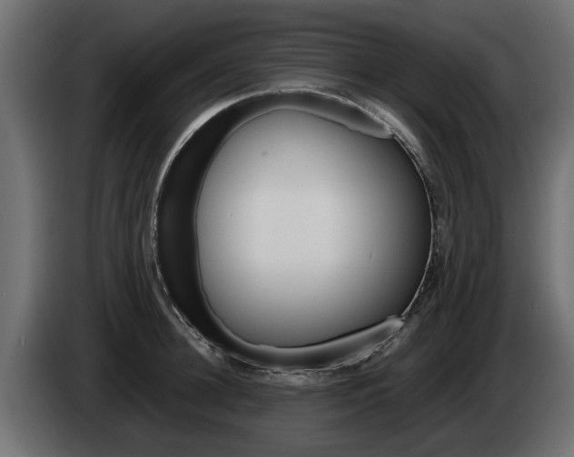 X0000085050948200703051042