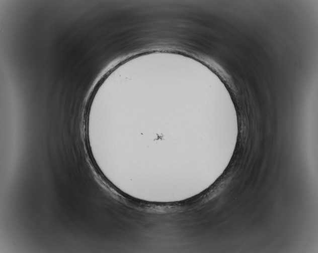 X0000085050950200703051042