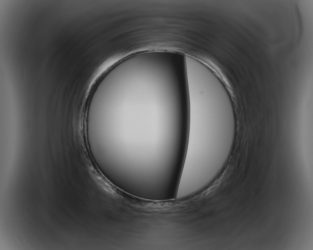 X0000085050952200703051042