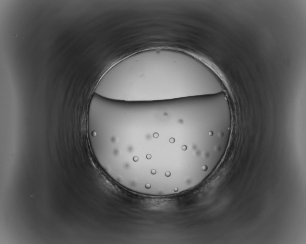 X0000085050953200703051042