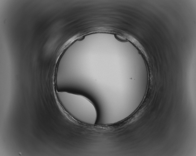 X0000085050954200703051042