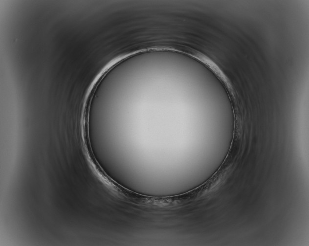 X0000085050955200703051042