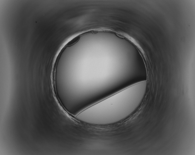 X0000085050959200703051042