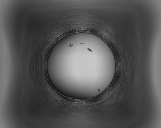 X0000085050961200703051042