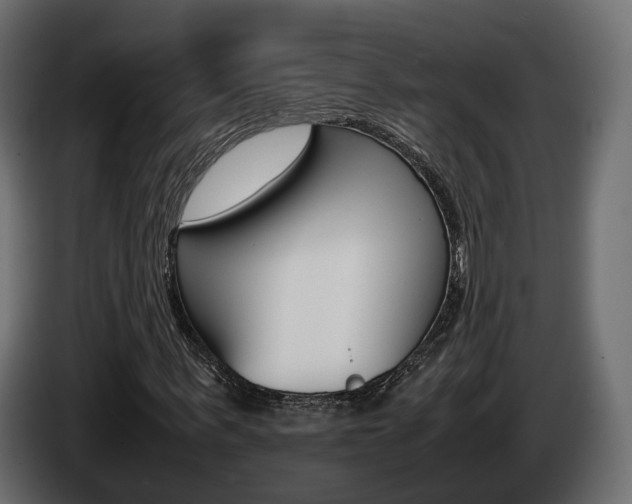 X0000085050963200703051042