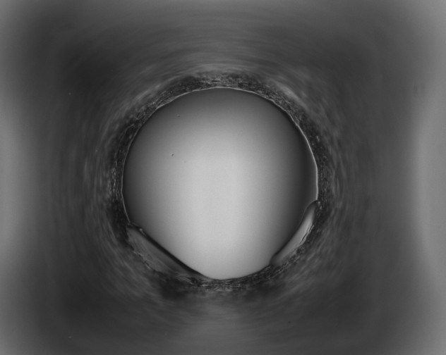 X0000085050965200703051042