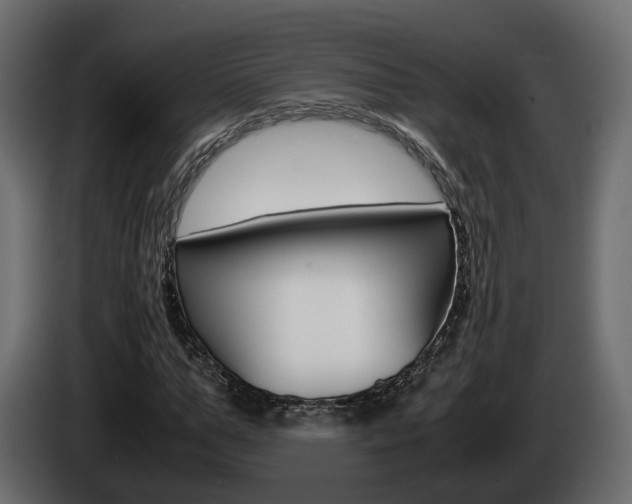 X0000085050967200703051042