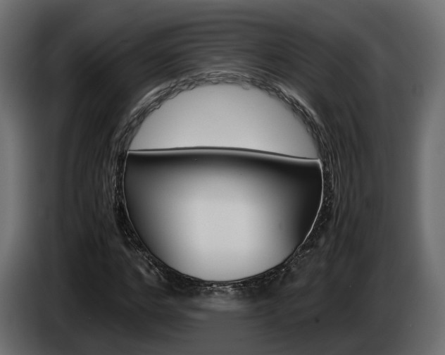 X0000085050968200703051042