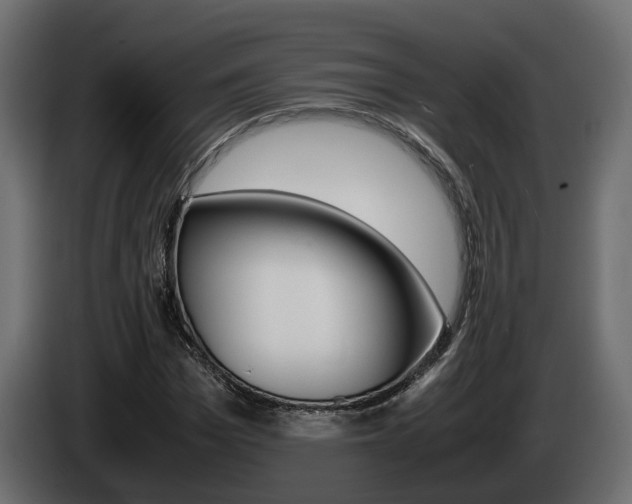 X0000085050969200703051042