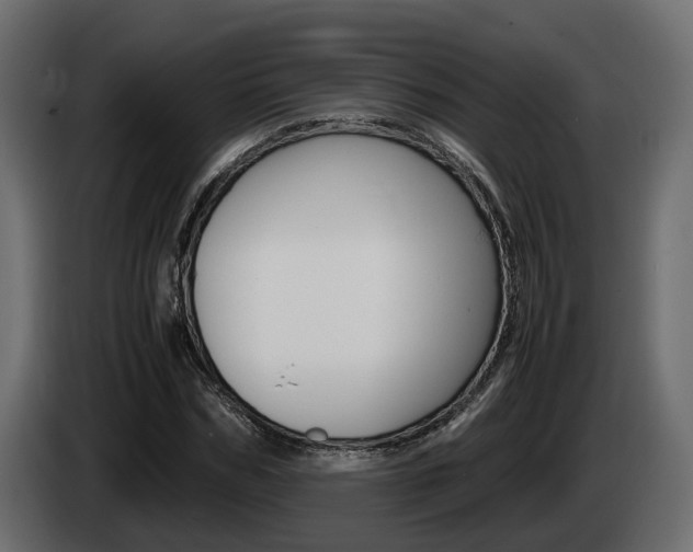 X0000085050970200703051042
