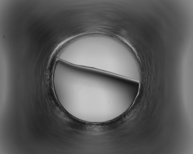 X0000085050971200703051042