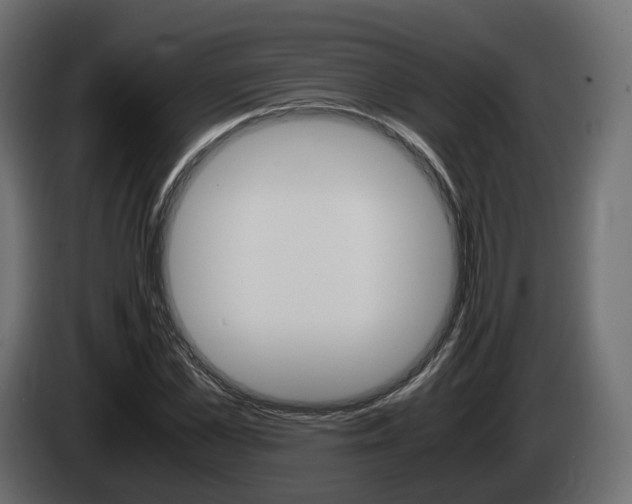 X0000085050973200703051042