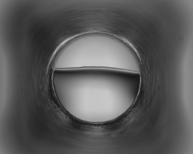 X0000085050975200703051042