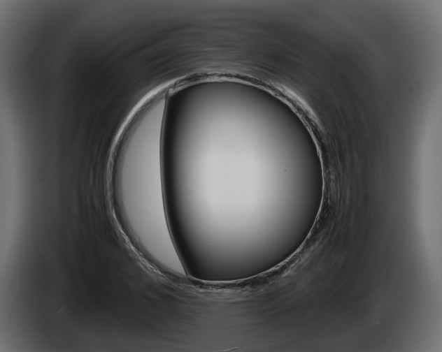 X0000085050976200703051042