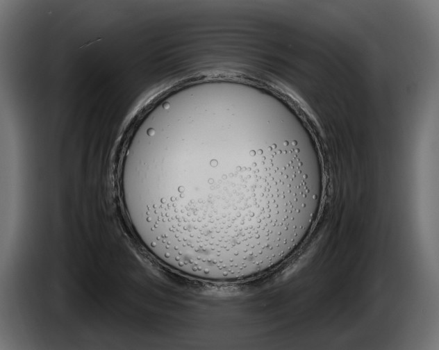 X0000085050978200703051042