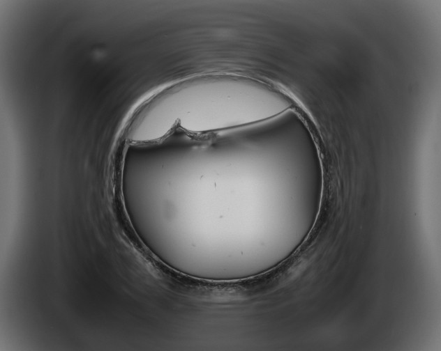X0000085050979200703051042