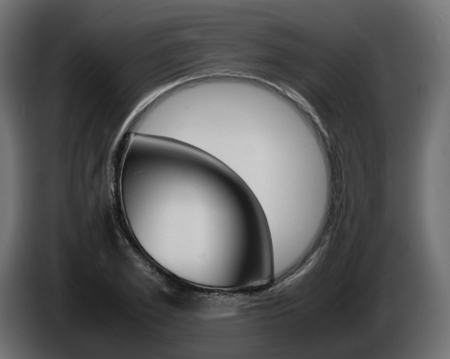 X0000085050981200703051042