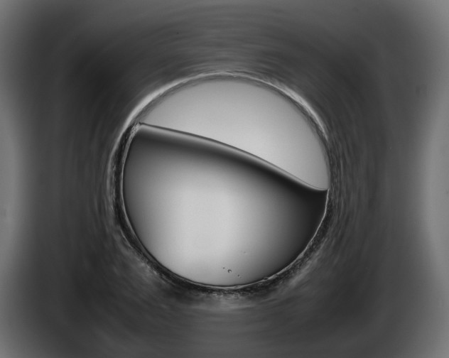 X0000085050983200703051042