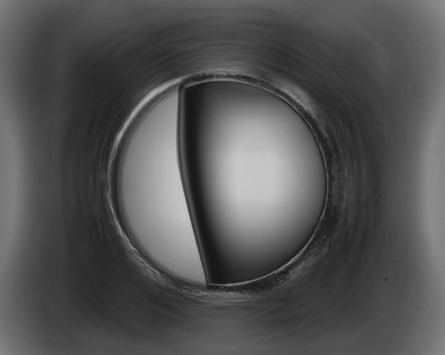X0000085050984200703051041