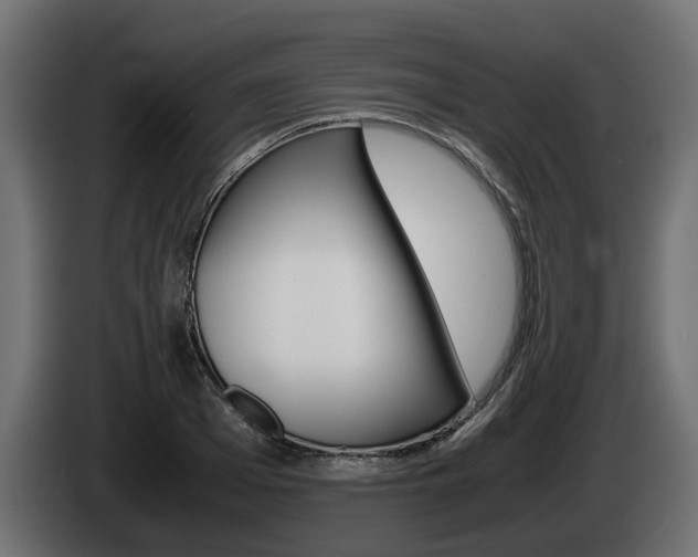 X0000085050985200703051041