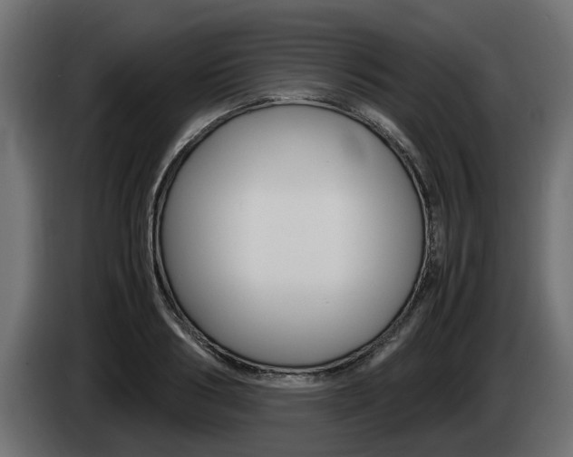 X0000085050986200703051041
