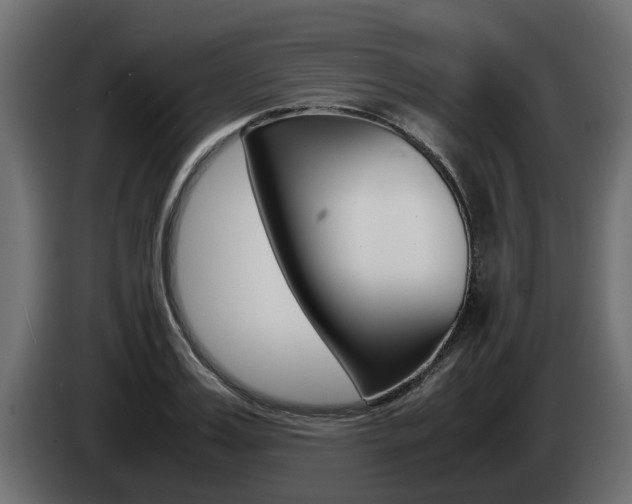 X0000085050987200703051041