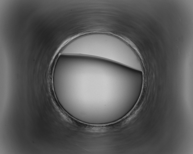 X0000085050989200703051041