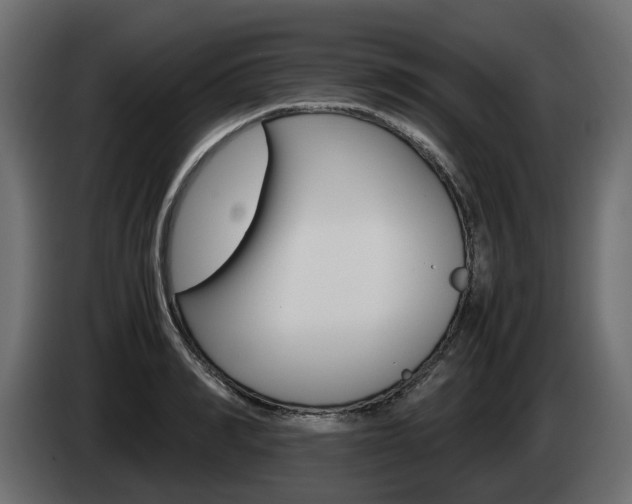 X0000085050990200703051041