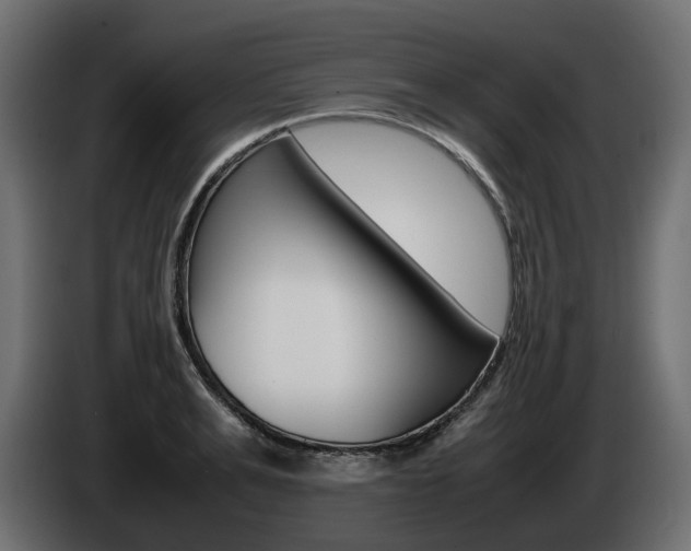 X0000085050991200703051041