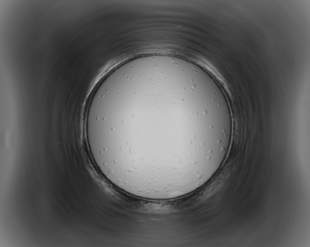 X0000085050994200703051041