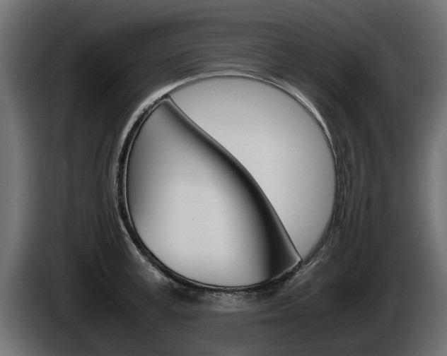 X0000085050995200703051041