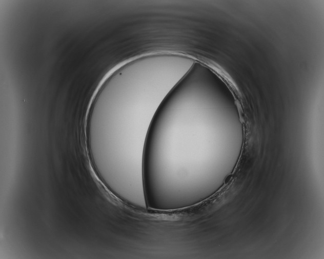 X0000085050996200703051041