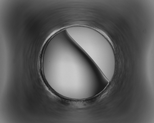 X0000085050999200703051041