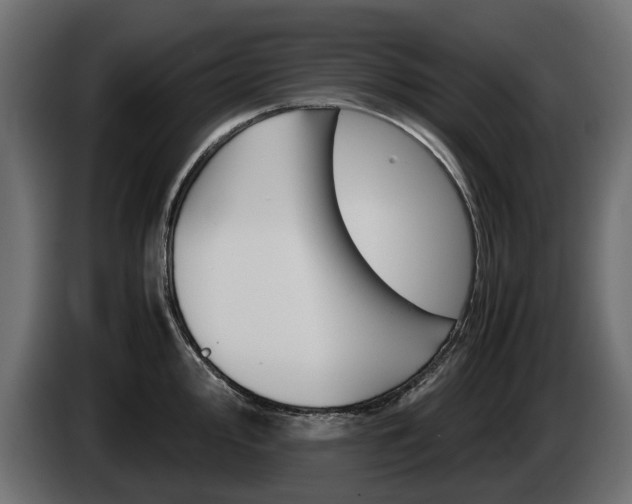 X0000085051000200703051041