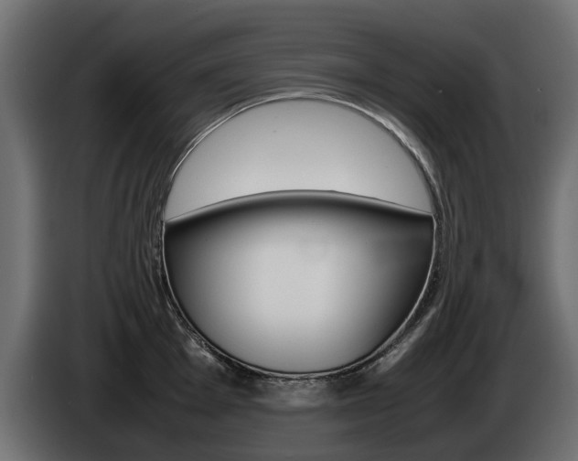 X0000085051001200703051041