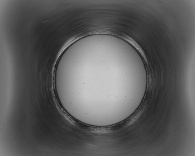 X0000085051002200703051041