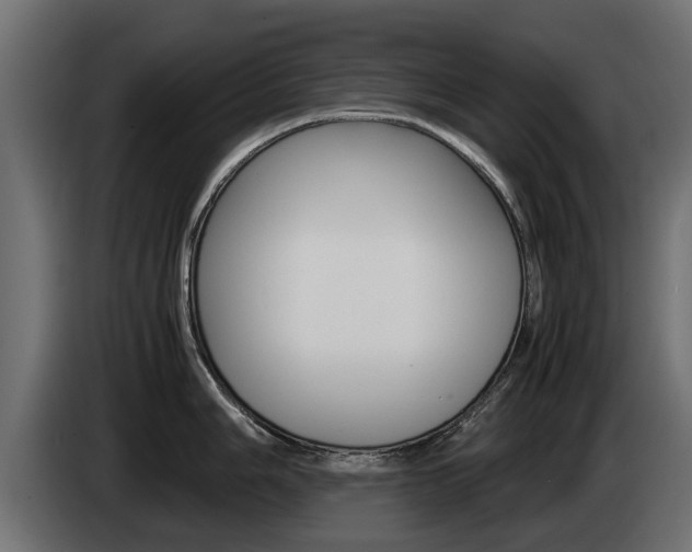 X0000085051006200703051041
