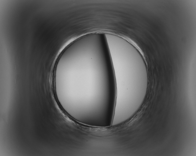 X0000085051007200703051041