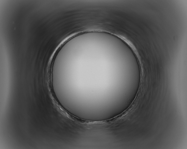 X0000085051008200703051041