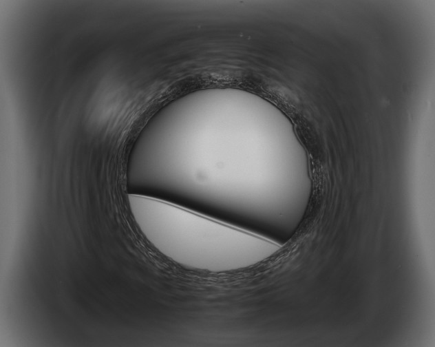 X0000085051009200703051041