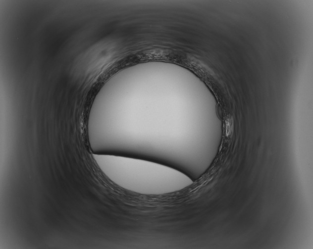 X0000085051011200703051041