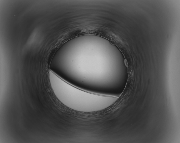X0000085051012200703051041