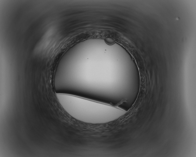 X0000085051013200703051041