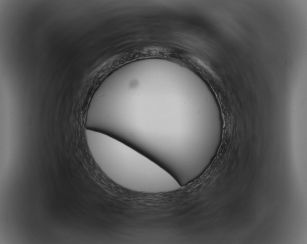 X0000085051015200703051041