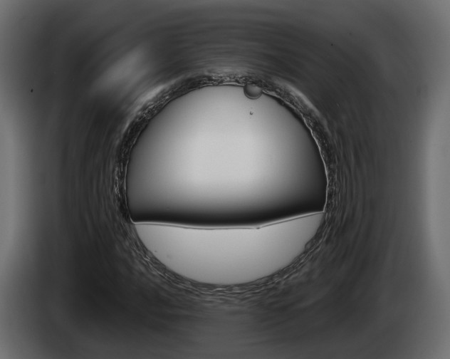 X0000085051016200703051041