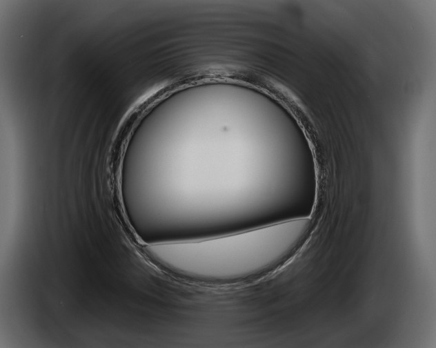 X0000085051018200703051041