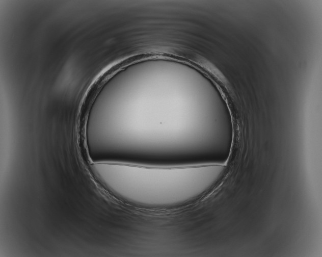 X0000085051020200703051041