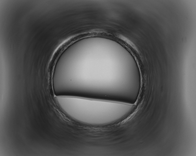 X0000085051021200703051041
